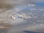P1240924 RÃ­o Helado.jpg