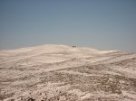 IMG_3467.jpg