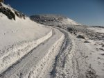 IMG_3475.jpg