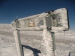 IMG_3487.jpg