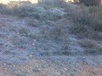 Imagen016.jpg