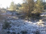 Imagen029.jpg