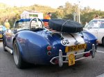 cobra 1.jpg
