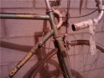 bici2.jpg