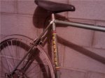 bici3.jpg