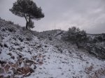 DSCF8619 [1280x768].jpg