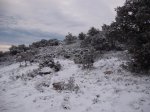DSCF8648 [1280x768].jpg
