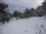 DSCF8657 [1280x768].jpg