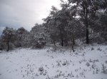 DSCF8658 [1280x768].jpg