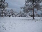 DSCF8683 [1280x768].jpg