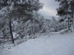 DSCF8694 [1280x768].jpg