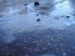 DSC08530.jpg