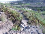El sendero por el que empezamos la ruta.jpg