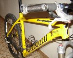 DSC00405-p.jpg