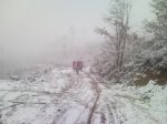 SNC00388.jpg