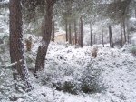100_5955.jpg