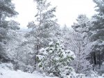 100_5967.jpg