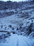 IMG_0044.jpg