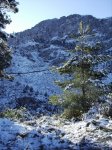 IMG_0045.jpg