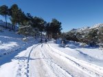 PC200078.JPG
