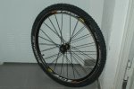 Crossride_003.jpg