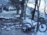 IMG_0034.jpg
