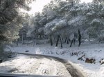 El Berro nieve.jpg