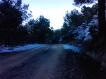 P1022_20-12-09.jpg