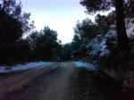 P1023_20-12-09.jpg