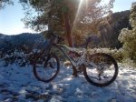 P1048_20-12-09.jpg