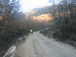 IMG_4954.jpg