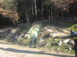 IMG_4956.jpg