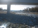 IMG_4972.jpg