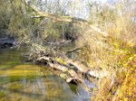 DSCN0867.JPG