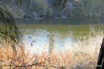 DSCN0862.JPG