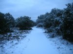 DSCN1624.jpg