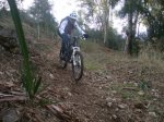 PC200852.jpg