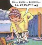 conejo_zapatilla_Conejo_en_.jpg