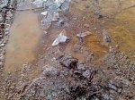 20122009031.jpg