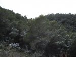 DSC00222.jpg