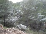 DSC00227.jpg