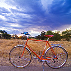 sam-hillborne-2-tn.jpg
