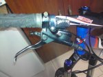 DSC01781.jpg