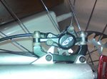 DSC01783.jpg