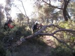 Imagen 060_1024x768.jpg