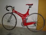 alpinestar.jpg