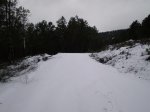 PC230244.jpg