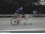 bici vidal.JPG