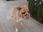 DSC01585.jpg