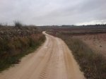 DSC01607.jpg